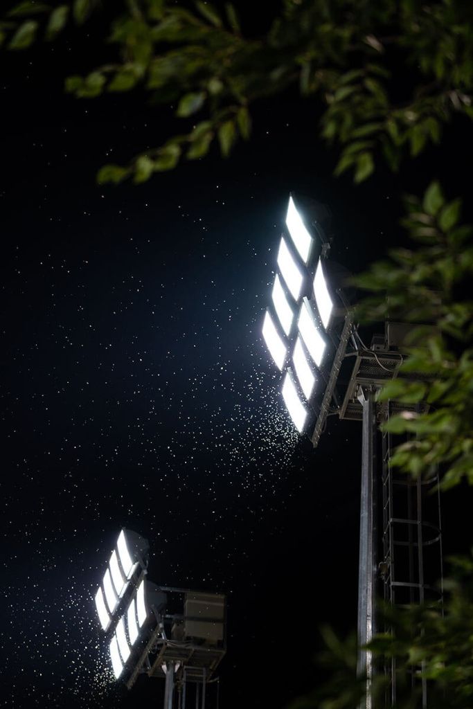 Светодиодные прожекторы для подсветки деревьев